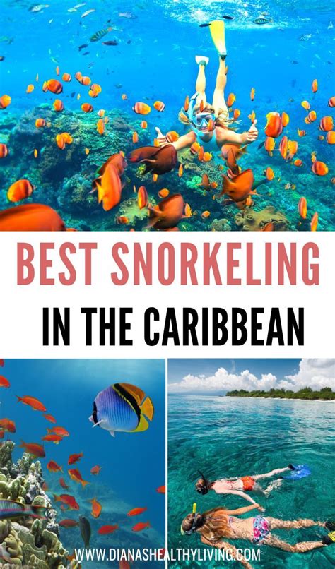 Best Snorkeling In The Caribbean Caribbean Islands Vacation Best