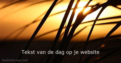 Tekst Van De Dag Op Je Website