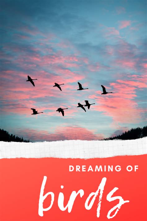 Dreaming Of Birds What It Means To See A Bird In A Dream