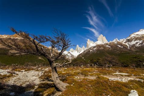 Scenic View Of Mount Fitz Roy Patagonia Stock Image Image Of Famous