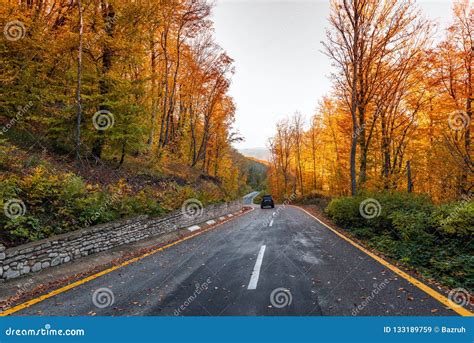 Winding Road In Colorful Autumn Mountain Forest Stock Image Image Of