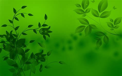 Download Green Background By Denisej81 Green Backgrounds Green