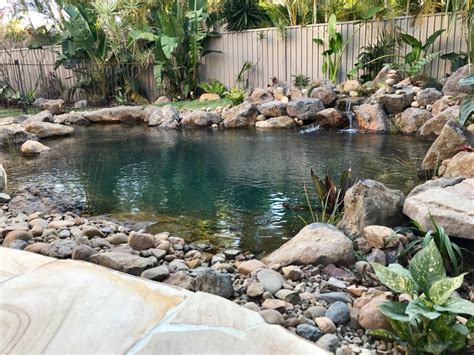 Natural Swimming Pool — Flo Gardens Natural Pools Ponds Plant
