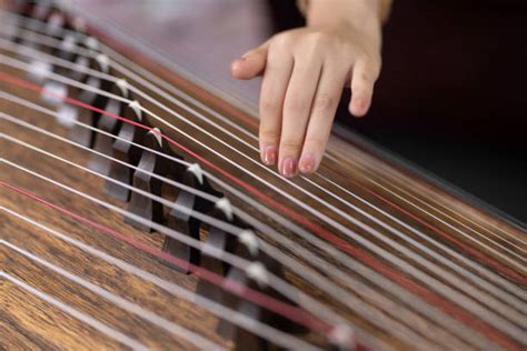 2000 Zither Stock Photos Pictures And Royalty Free Images Istock