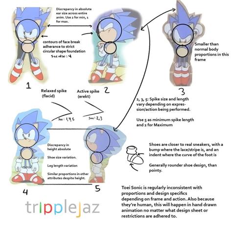 Toei Sonic Reference Sheet How To Draw Sonic Sonic Fan Art Sonic Funny