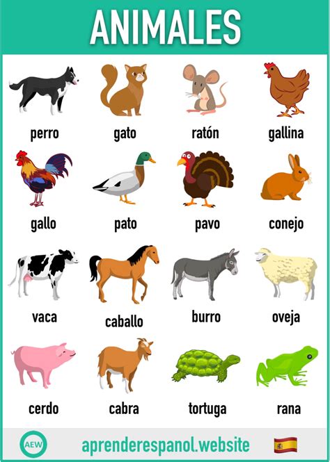 Los Animales En Español Vocabulario Y Ejercicios Aprender Español