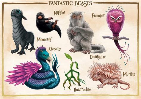 An Image Of Fantasy Creatures With Names