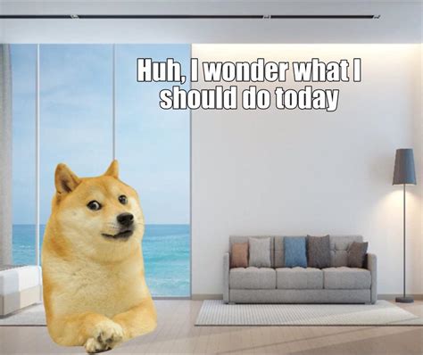 Le Irl Doge Has Arrived Dogelore