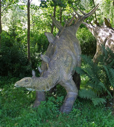 10 Amazing Facts About Stegosaurus Ten Things You Probably Didnt Know About Stegosaurus