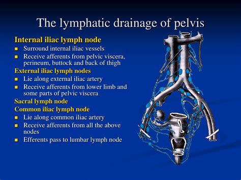 Pelvic Lymphatic Drainage