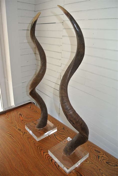 Pair Of African Kudu Horns Mounted On Acrylic Lucite Base From A