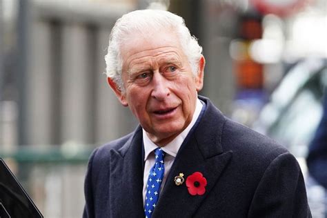king charles iii hospitalized for enlarged prostate palace confirms