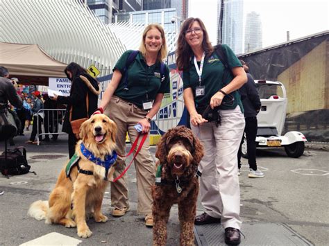Fema Offers A Beginners Guide To Comfort Dogs Hope Animal Assisted