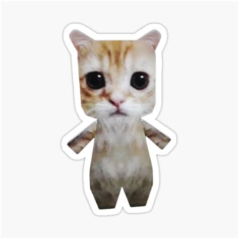 El Gato Cat Meme Cutouts Tik Tok