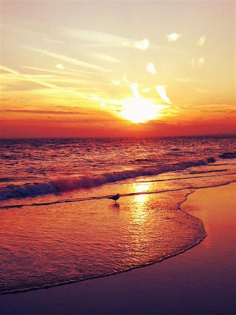 Free Download Beach Sunset Wallpaper 1130998 Beaches In 2019 Pinterest