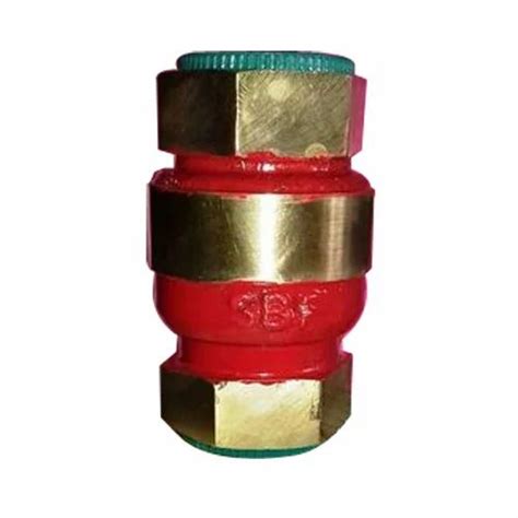 Sbf Brassbronze Vertical Check Valve Size 15 To 50mm At Rs 210piece