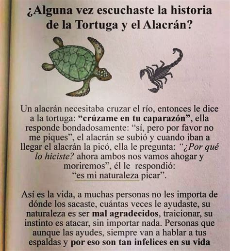 Alguna Vez Escuchaste La Historia De La Tortuga Y El Alacr N Un