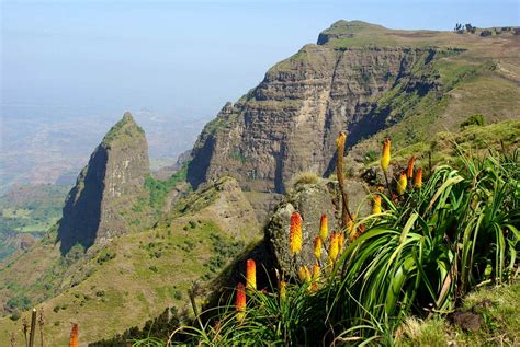 Trekking Ethiopias Simien Mountains Lonely Planet