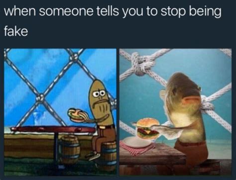 12 Fred The Fish Memes For You And Your Leg Funny Relatable Memes