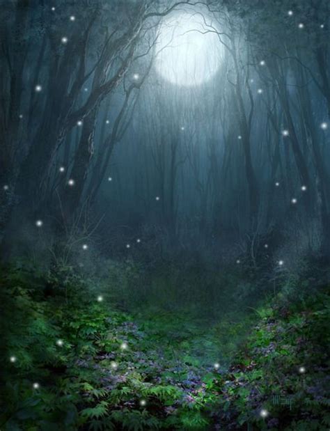 Fairy Moon Magical Forest Enchanted Forest Magical Art Beautiful
