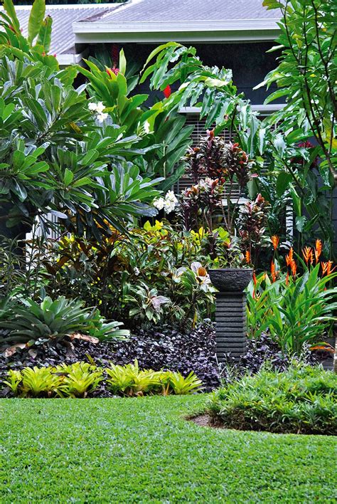 The 25 Best Tropical Garden Ideas Queensland Ideas On Pinterest