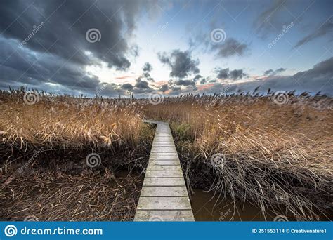 Wooden Walkway Through Tidal Marsh Stock Photo Image Of Exposure