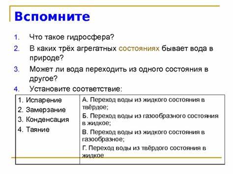 Что такое диета 3б