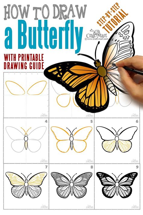 how to draw a butterfly step by step easy and fast butterfly drawing butterfly art drawing