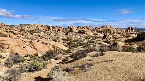 Hiking To Skull Rock And Split Rock Trail At Joshua Tree National Park