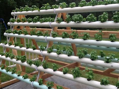 How To Grow 168 Plants In A 6 X 10 Space With A Diy A Frame Hydroponic