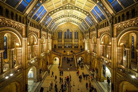 Interior Of The Natural History Museum London United Kingdom R