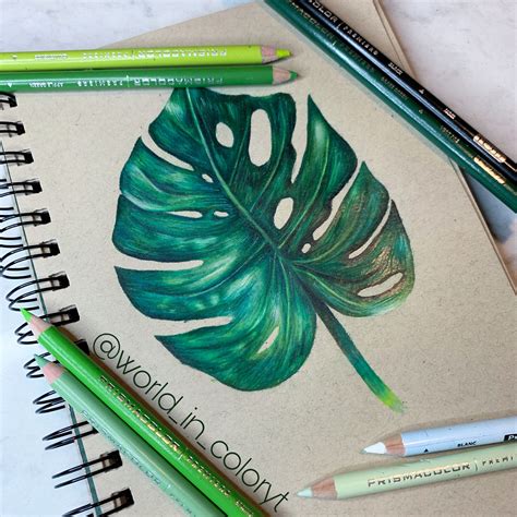 Leaf Drawing Colored Pencil Artwork Ideas Color Pencil Drawing