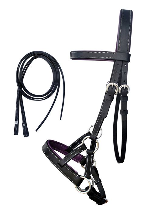 Horse Western Brown Leather Training Tack Bitless Sidepull Bridle Rein