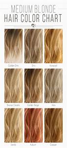  Hair Color Chart The Shades Kissed By The Sun Medium 