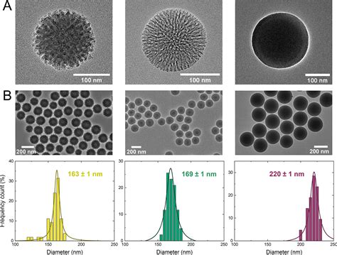 Membrane Interactions Of Virus Like Mesoporous Silica Nanoparticles