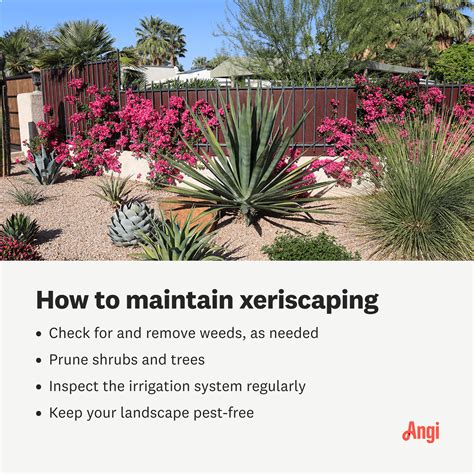 How Much Does Xeriscaping Cost In 2024 Angi