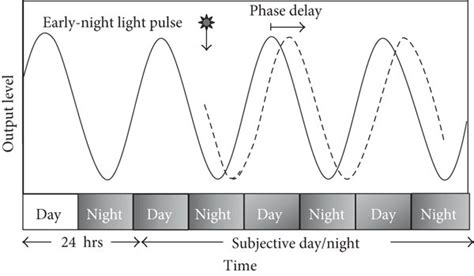 Measures Of The Circadian Rhythm A Cycles Of Peaks And Troughs Of