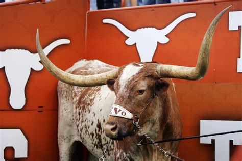 Texas Longhorns Football Top 20 Reasons To Be A Longhorns Fan News