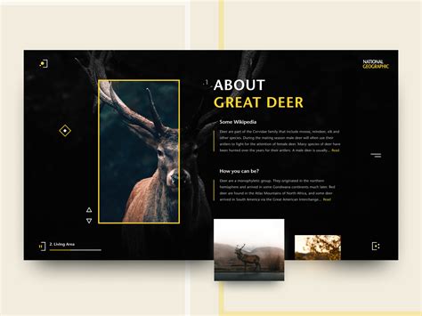 National Geographic Web Concept By Matvii Dunuk 👀 On Dribbble