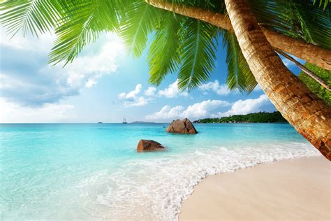 тропический рай пляж побережье море синий изумруд океан палм летом