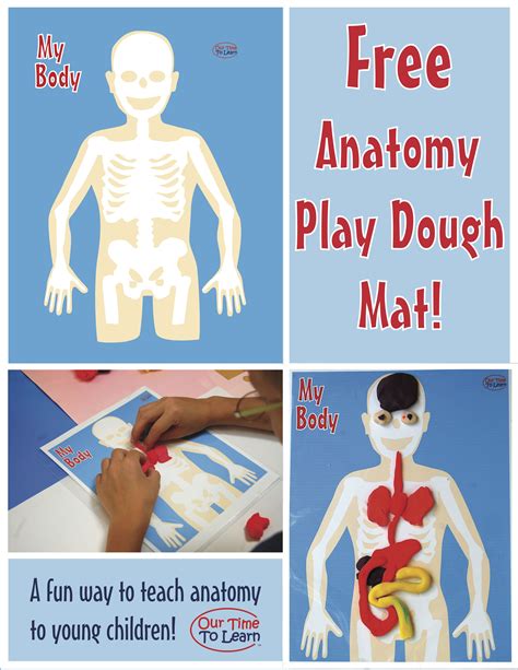Free Human Anatomy Play Dough Mat Body Preschool Human Body