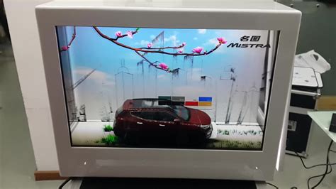 55 Inch Transparent Lcd Display Transparent Oled Screen For Showcase Box - Buy Transparent Oled ...