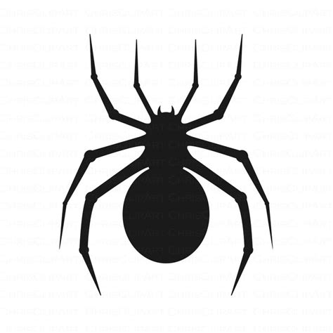 SPIDER SVG, clipart spider svg png jpg, halloween clipart, Cricut