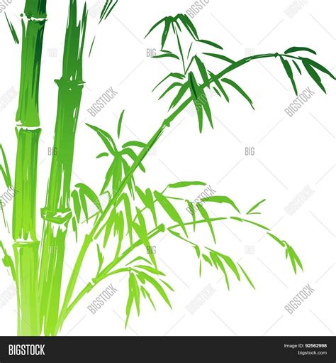 Watercolor Bamboo Vector And Photo Free Trial Bigstock