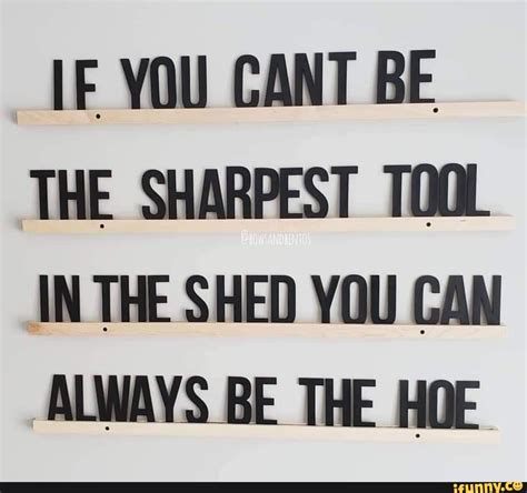 If You Cant Be The Sharpest Tool In The Shed You Can Ifunny