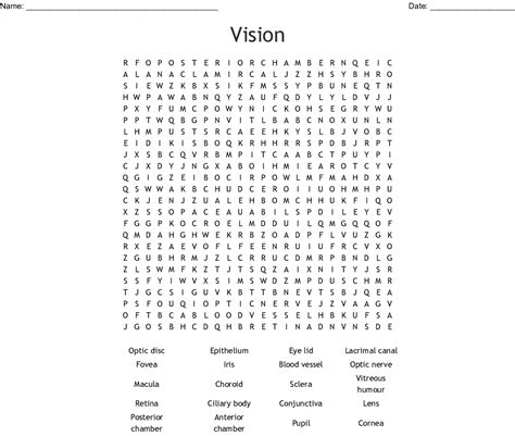 The Eye Vocabulary Crossword Wordmint