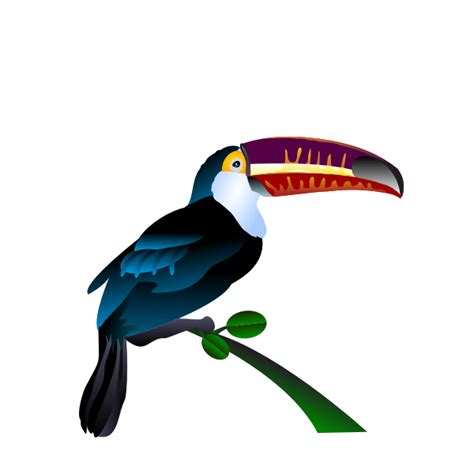 Toucan Image Free Svg
