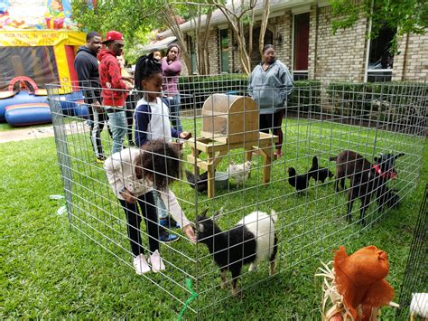Find the best mobile petting zoo entertainment professional in minutes. Mobile Petting Zoo Party - Farm Animal Petting Zoo -Dallas ...
