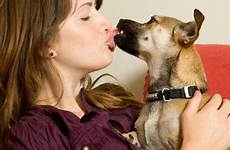 dog kissing kiss dogs girls bestiality kisses pets good sex their health could university animal probiotic oral may has canine
