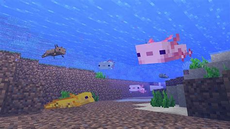 Minecraft 117 Axolotl Minecraft 1 17 Warden And Axolotl Inverted